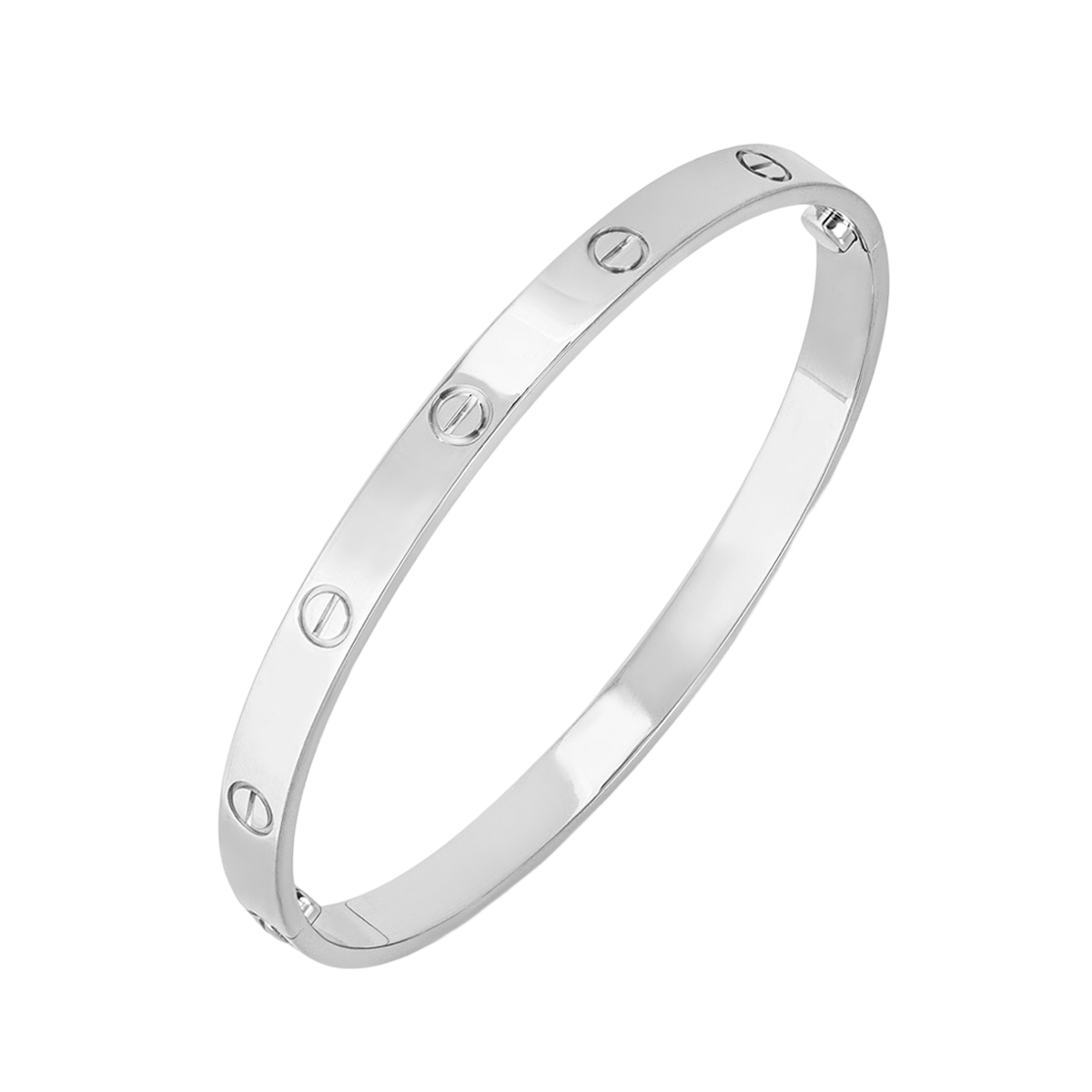 CHAIN OF ETERNITY SILVER