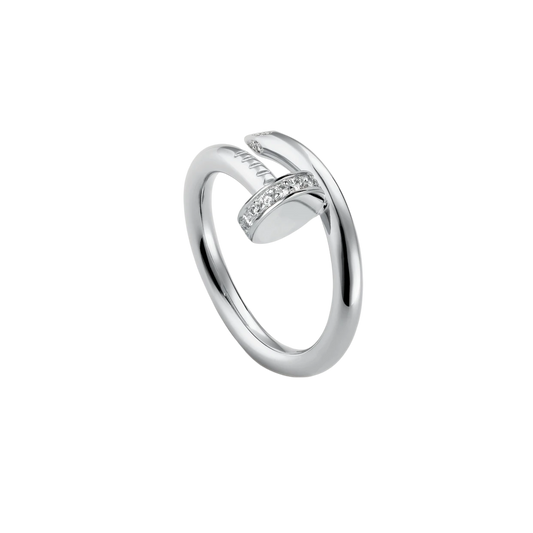 DELUXE RING NAIL IN SILVER